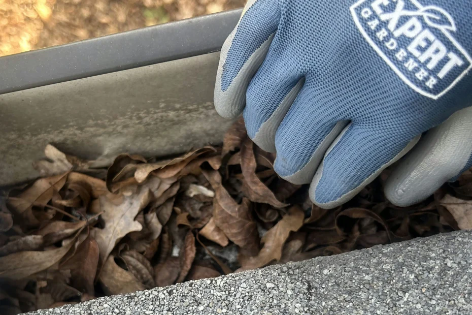 Gutter Cleaning Chesterfield, MO